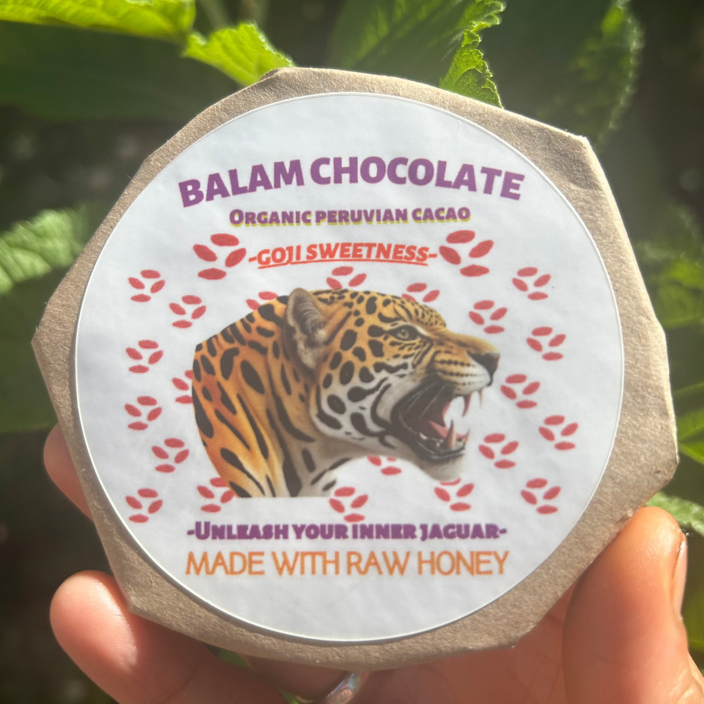 Goji Sweetness Peruvian Chocolate