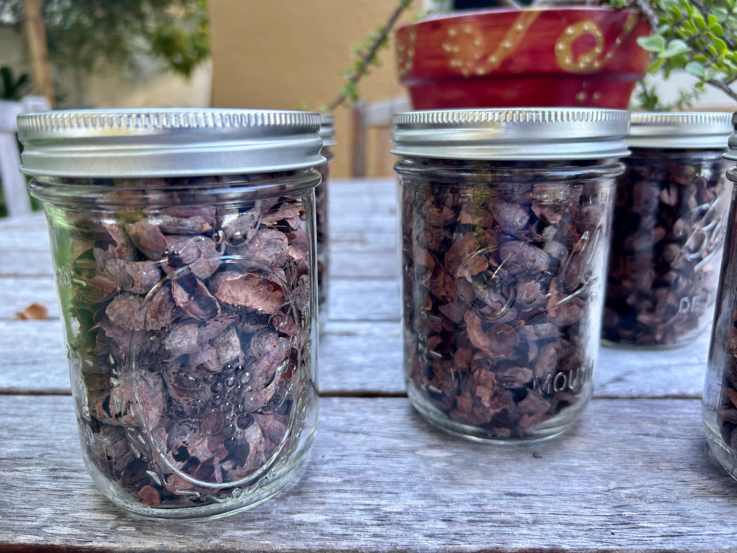 Cacao Husk Tea