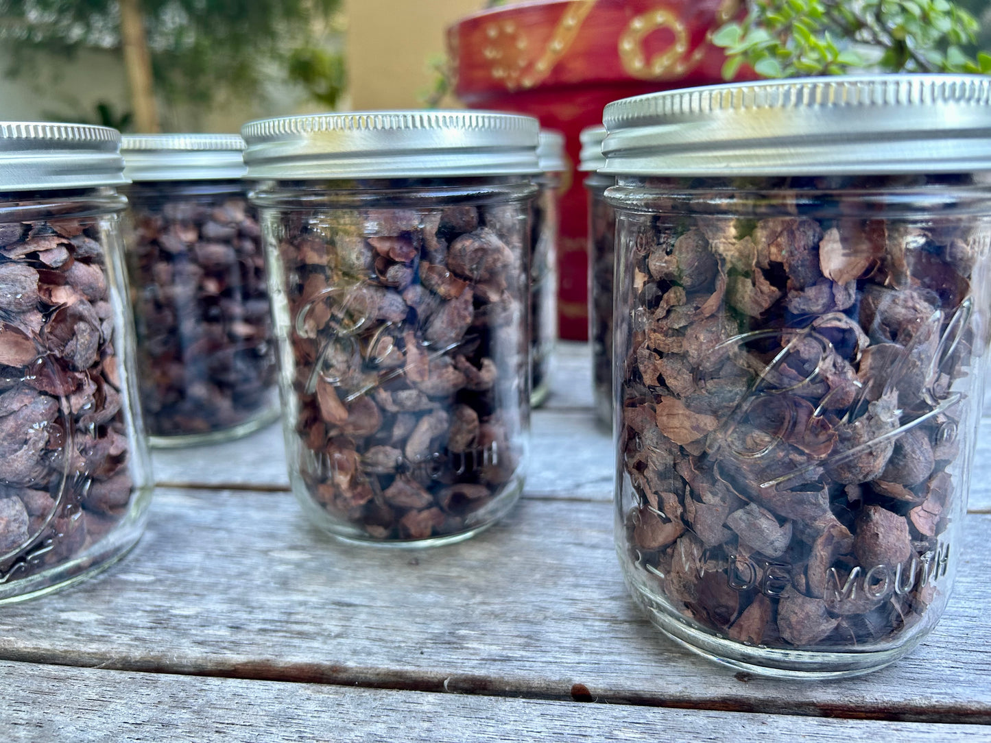 Cacao Husk Tea