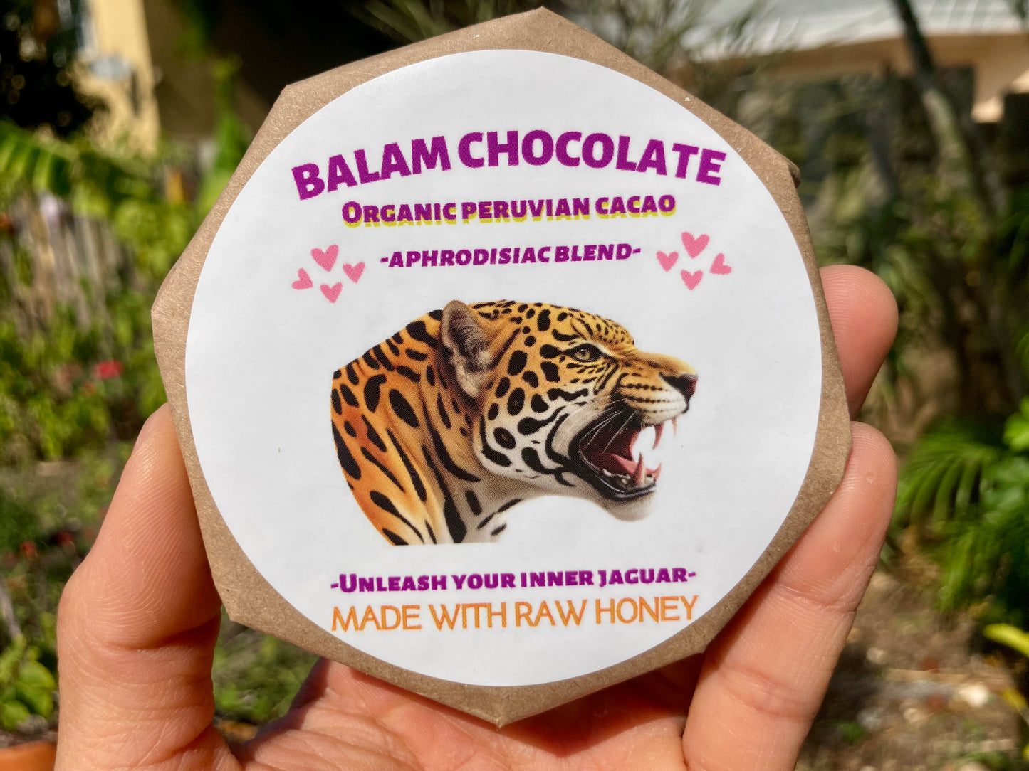 6 Pack Peruvian Chocolates