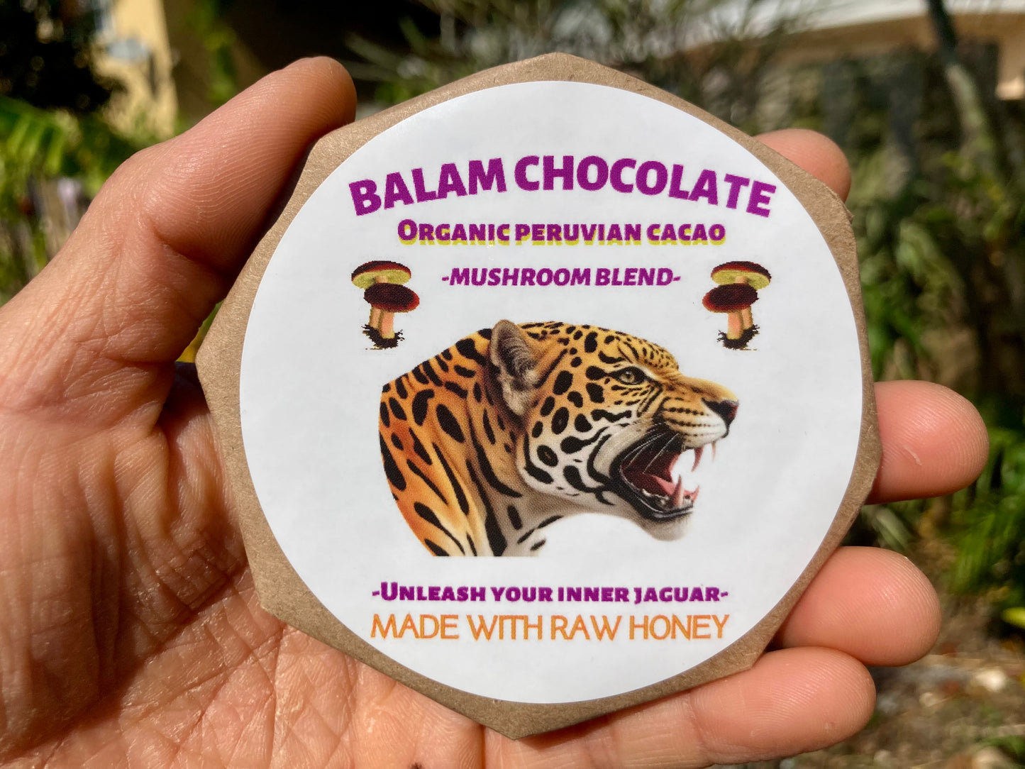 Paquete de 12 chocolates Peruanos