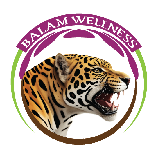 Balam Chocolate logo