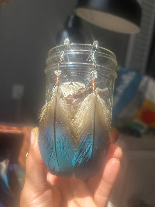 Guacamaya Feather Earrings