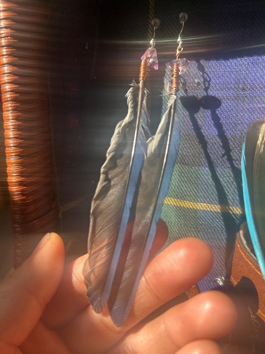 Bluejay Feather Earrings