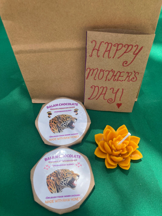 Happy Mother's Day 2 Pack Gift Bag